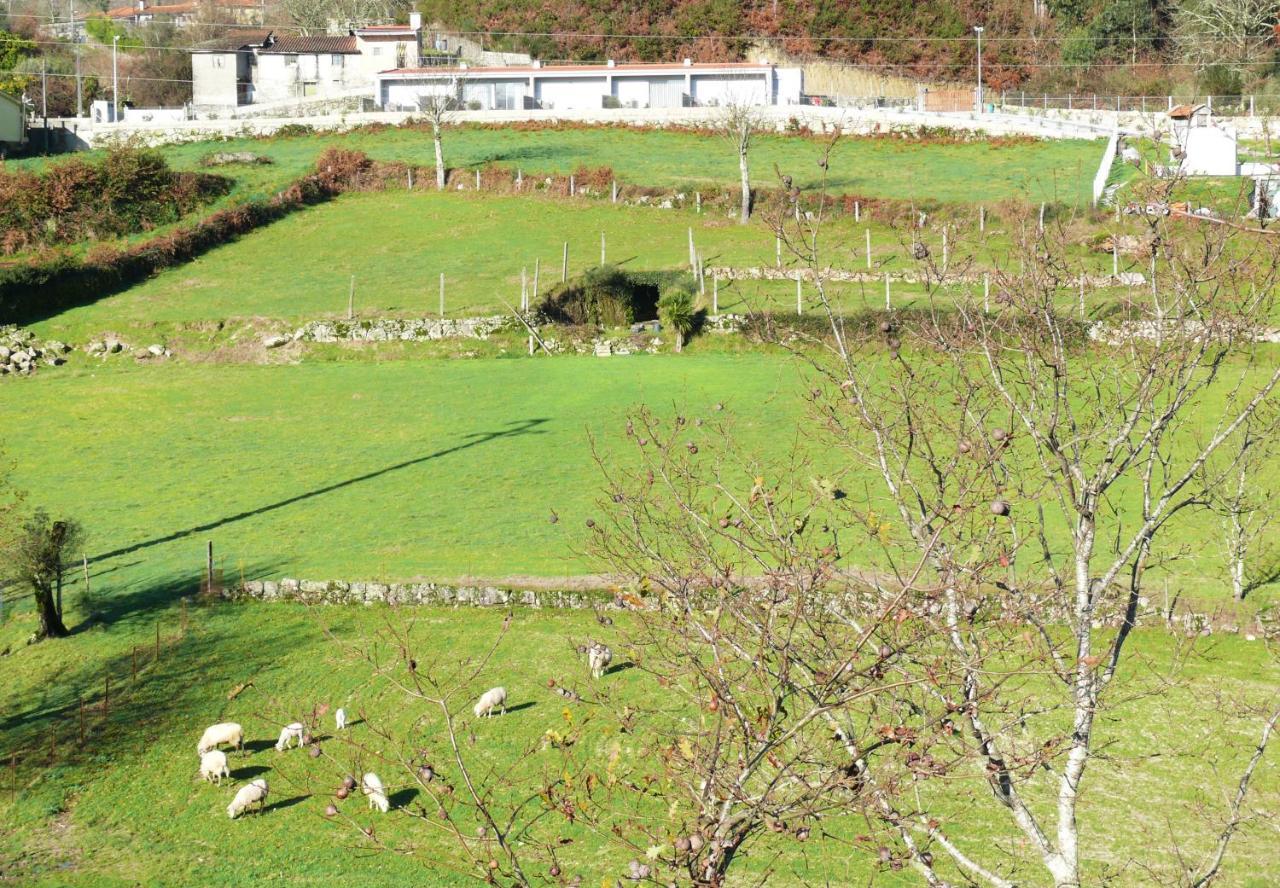 ヴィエイラ・ド・ミーニョ Campo Secoヴィラ エクステリア 写真